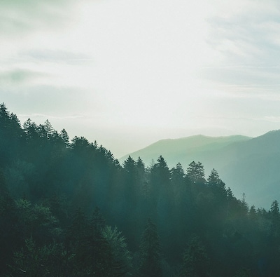 Sustainability in the Watch Industry image